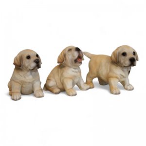 Labrador Welpen 3er Set