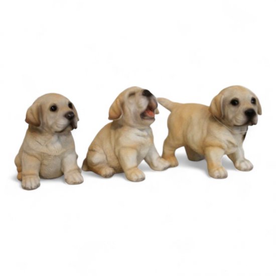 Labrador Welpen 3er Set - zum Schließen ins Bild klicken