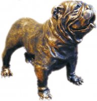 Bulldogge XL