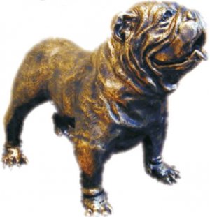 Bulldogge XL