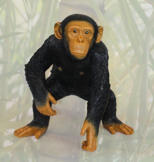 Schimpanse hockend - zum Schließen ins Bild klicken