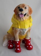 Hund mit Mantel, Stiefel rot