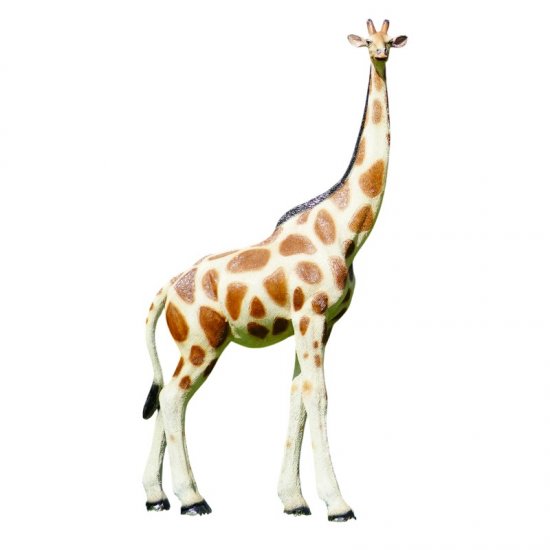 Giraffe stehend - zum Schließen ins Bild klicken