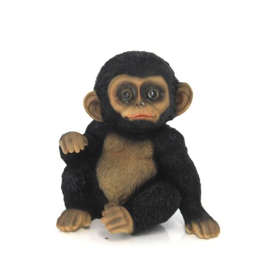 Schimpanse Baby - zum Schließen ins Bild klicken