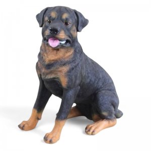 Rotti sitzend