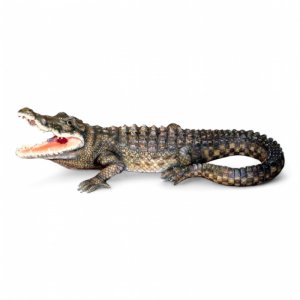 Krokodil mittel