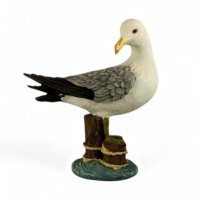 Möwe, Kopf gedreht