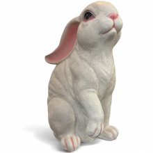 Hase sitzend, weiss