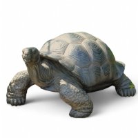 Schildkröte groß