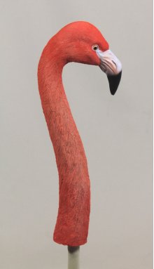 Flamingokopf