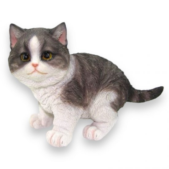 Katze sitzend - zum Schließen ins Bild klicken