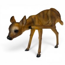 Reh