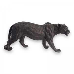 Jaguar stehend