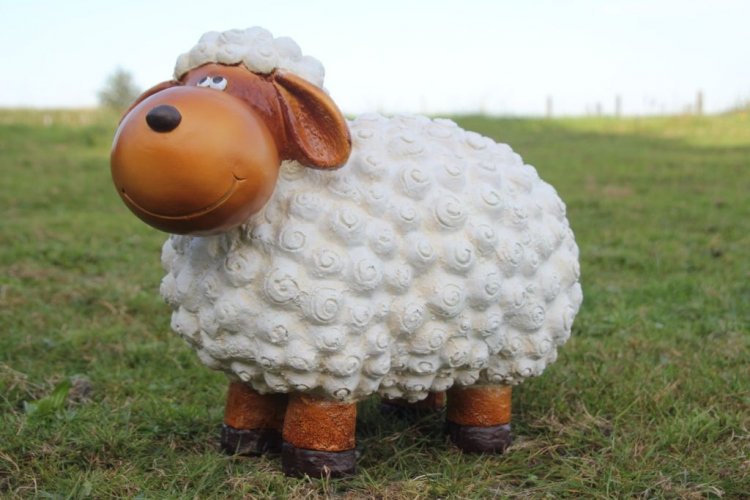 Schaf lustig, natur - zum Schließen ins Bild klicken