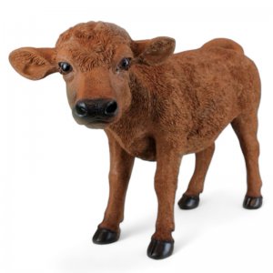 Kalb braun
