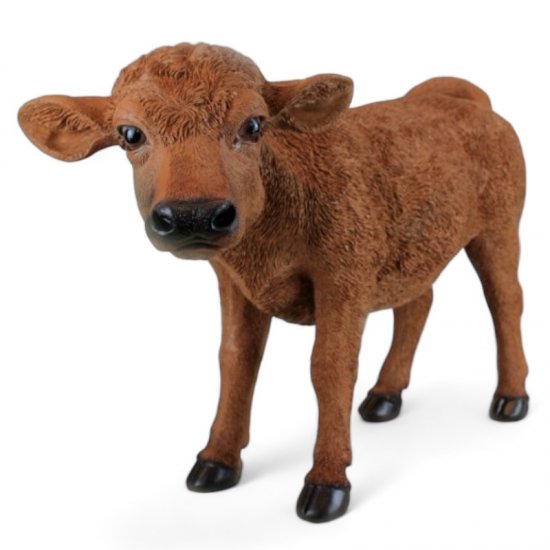 Kalb braun - zum Schließen ins Bild klicken