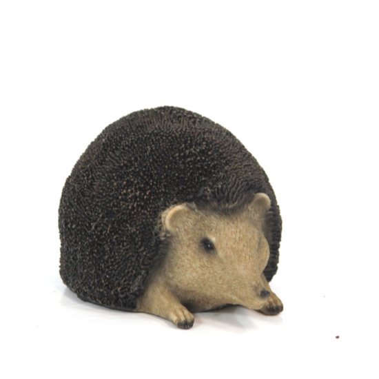 Igel, mittel - zum Schließen ins Bild klicken