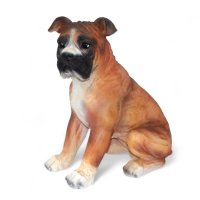 American Bulldog, braun