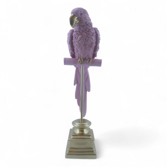 Ara pink - zum Schließen ins Bild klicken