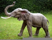 Elefant mit Rüssel oben
