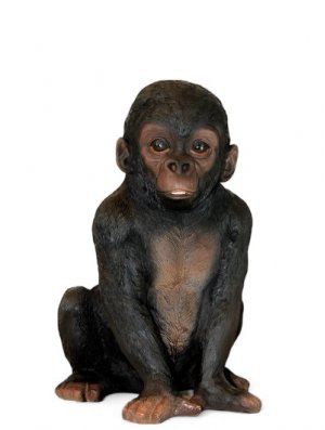 Gorilla Baby