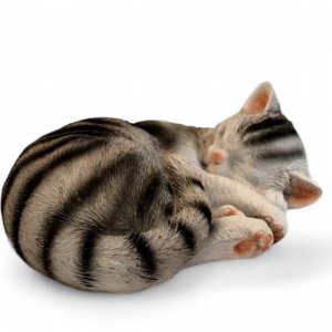 Katze schläft