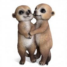 Erdmännchen Paar