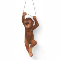 Orang Utan hängend