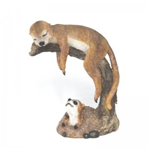 Erdmännchen schläft groß