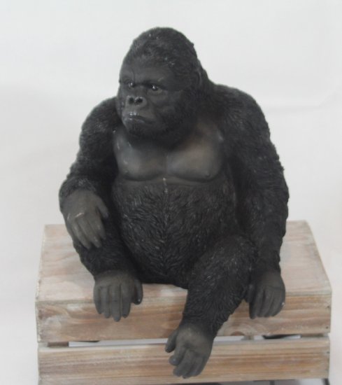Gorilla Kantenhocker - zum Schließen ins Bild klicken