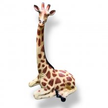 Giraffe liegend