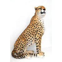Gepard sitzend
