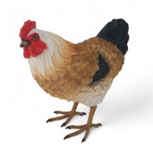 Henne stehend
