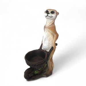 Erdmännchen Karre