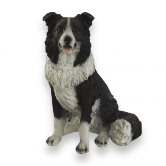 Border Collie - zum Schließen ins Bild klicken