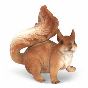Eichhörnchen