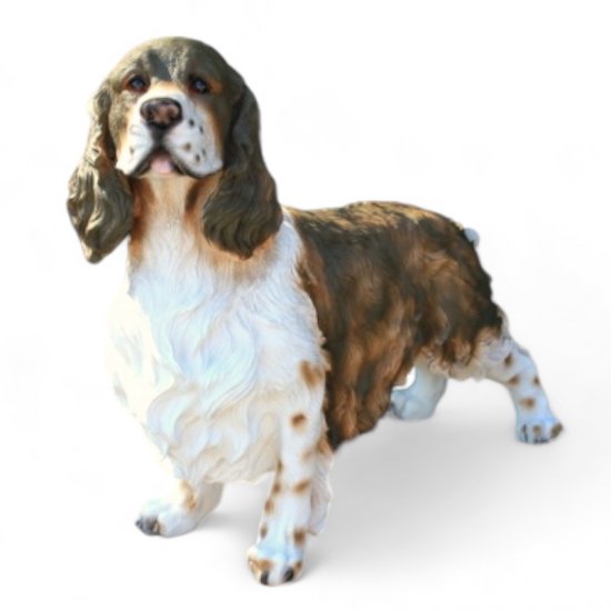 Cocker Spaniel stehend - zum Schließen ins Bild klicken