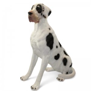 Dogge