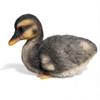 Ente