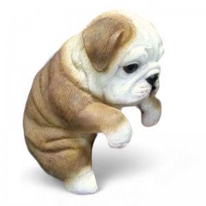 Bulldogge hängend
