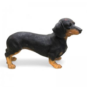 Dackel stehend schwarz
