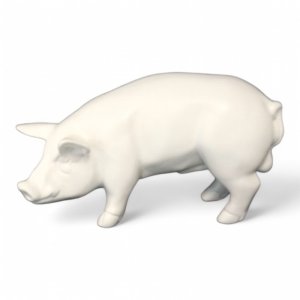 Schwein mini weiss