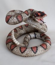 Klapperschlange groß