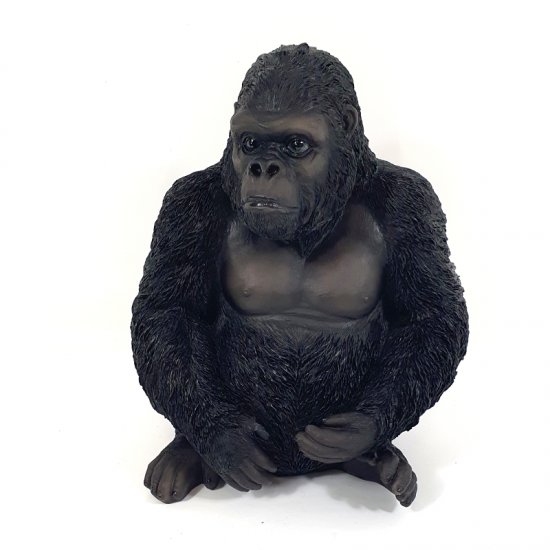 Gorilla sitzend - zum Schließen ins Bild klicken