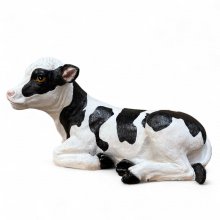 Kalb liegend