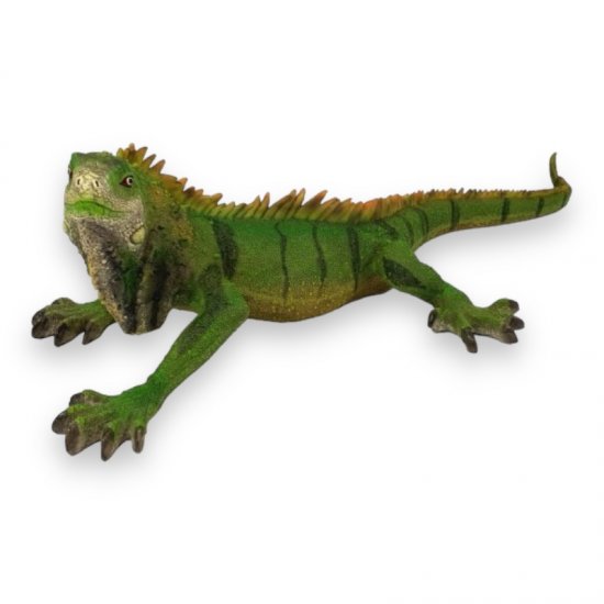 Leguan - zum Schließen ins Bild klicken