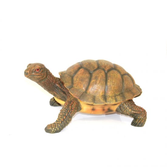 Schildkröte - zum Schließen ins Bild klicken