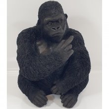 Gorilla Mittelfinger
