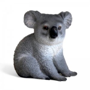 Koalabär