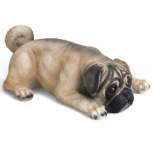 Mops liegend
